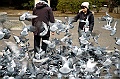 ueno park 21
